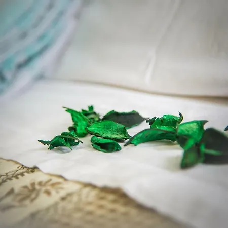 Bed & Breakfast Bella Locazione Turistica *