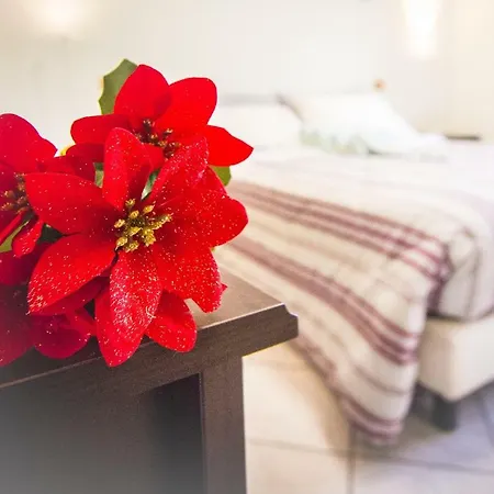 Bed & Breakfast Bella Locazione Turistica *