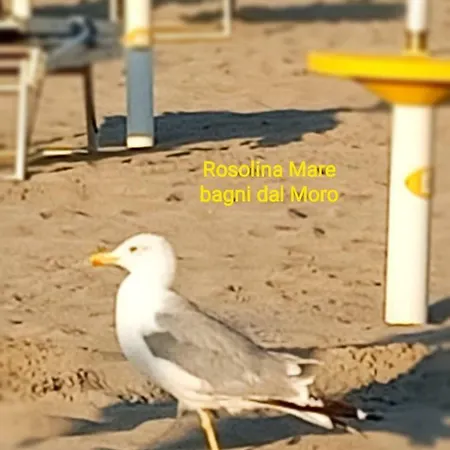 Bella Locazione Turistica Frühstückspension *